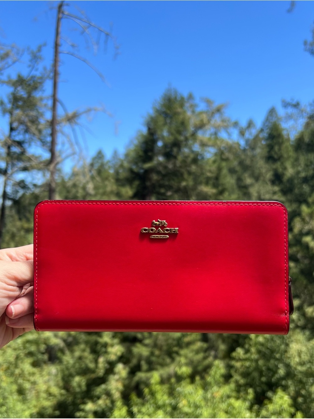 COACH Bifold Wallet Candy Apple Red Smooth Leather with Gold Hardware AUTHENTIC